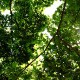 DSCF0092