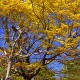 DSCF0759