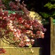 DSCF0992