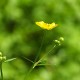 DSCF1702