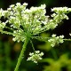 DSCF2872